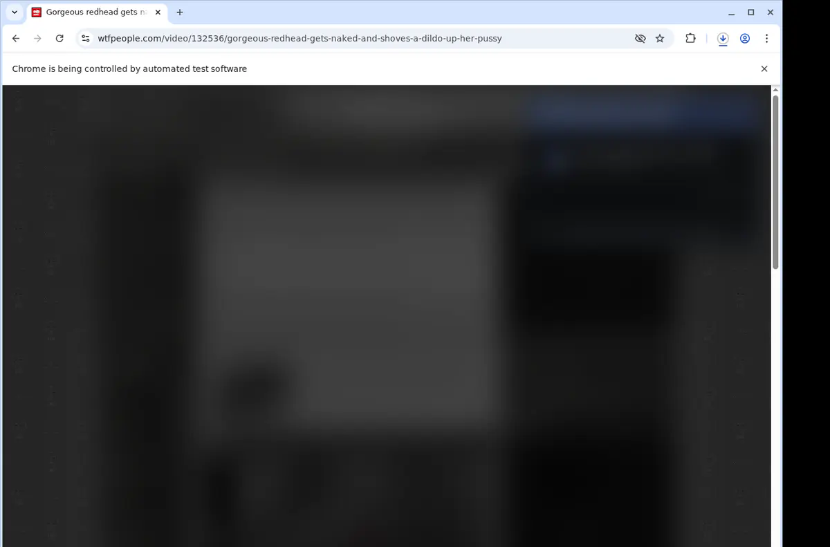 Wtfpeople Video Downloader screenshot 2