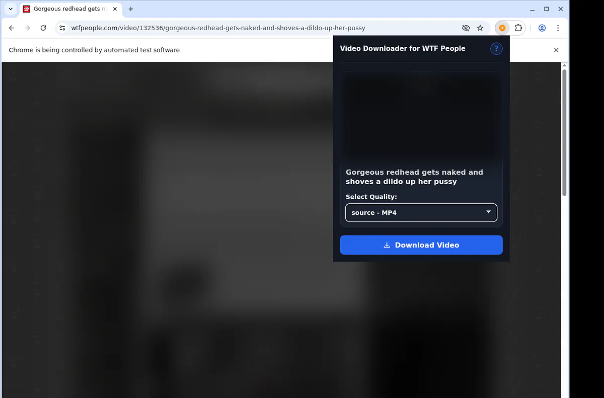 Wtfpeople Video Downloader screenshot 3