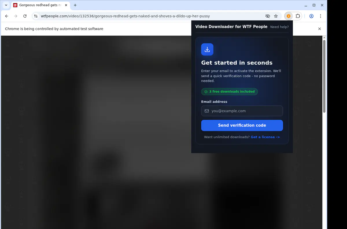 Wtfpeople Video Downloader screenshot 5